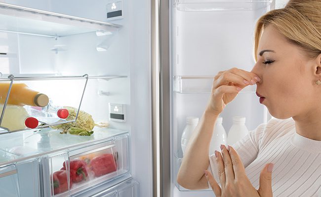 برای فهمیدن علت بوی بد آبسردکن یخچال و یادگیری راه‌های رفع آن، می‌توانید این مقاله از فیکسون را مطالعه کنید.